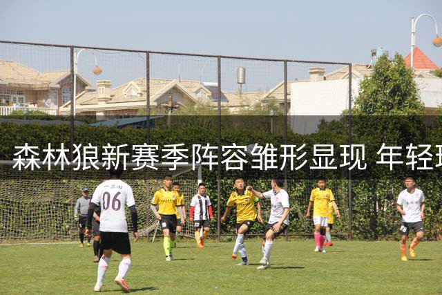 森林狼新赛季阵容雏形显现 年轻球员面临激烈竞争