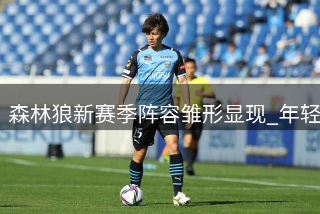 森林狼新赛季阵容雏形显现 年轻球员面临激烈竞争